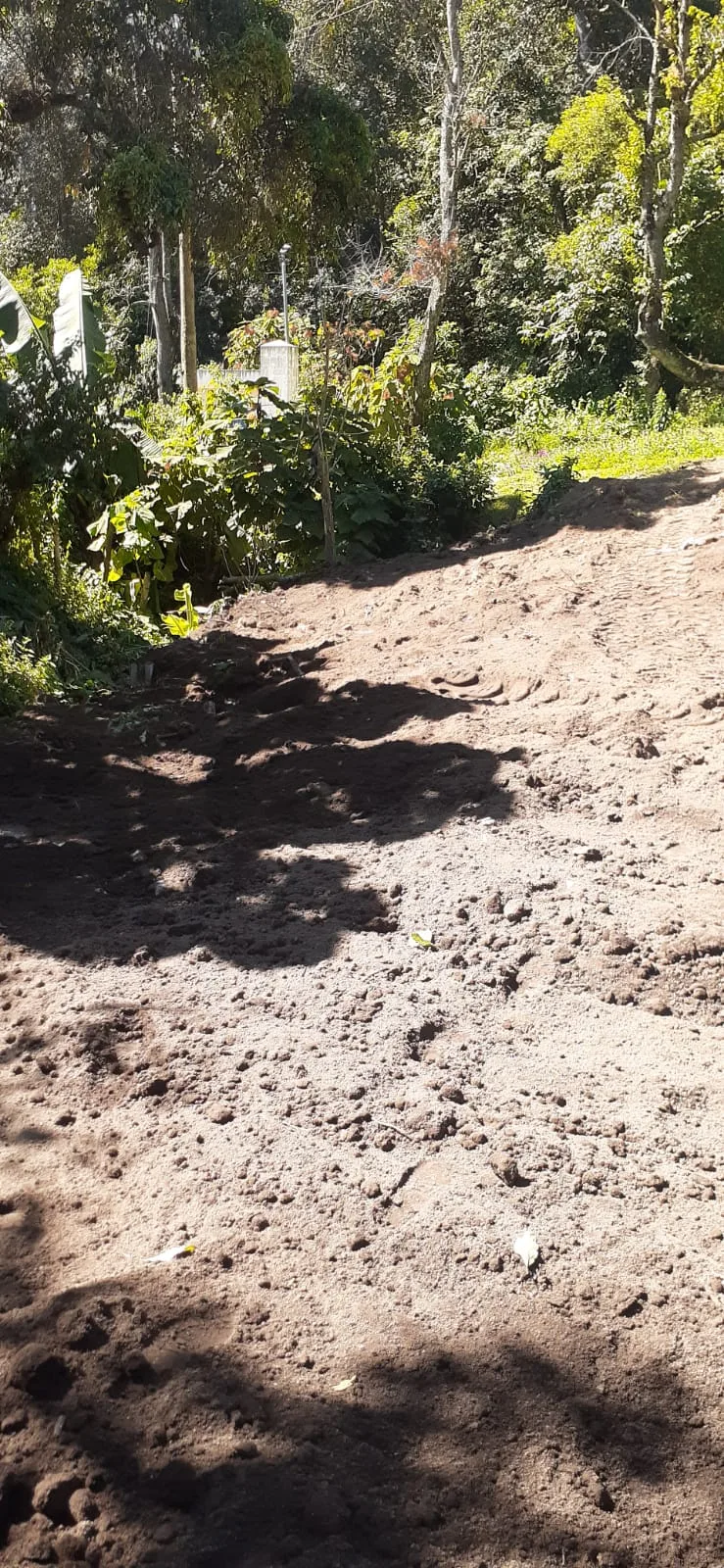 Avance de obra del 30/01/2026