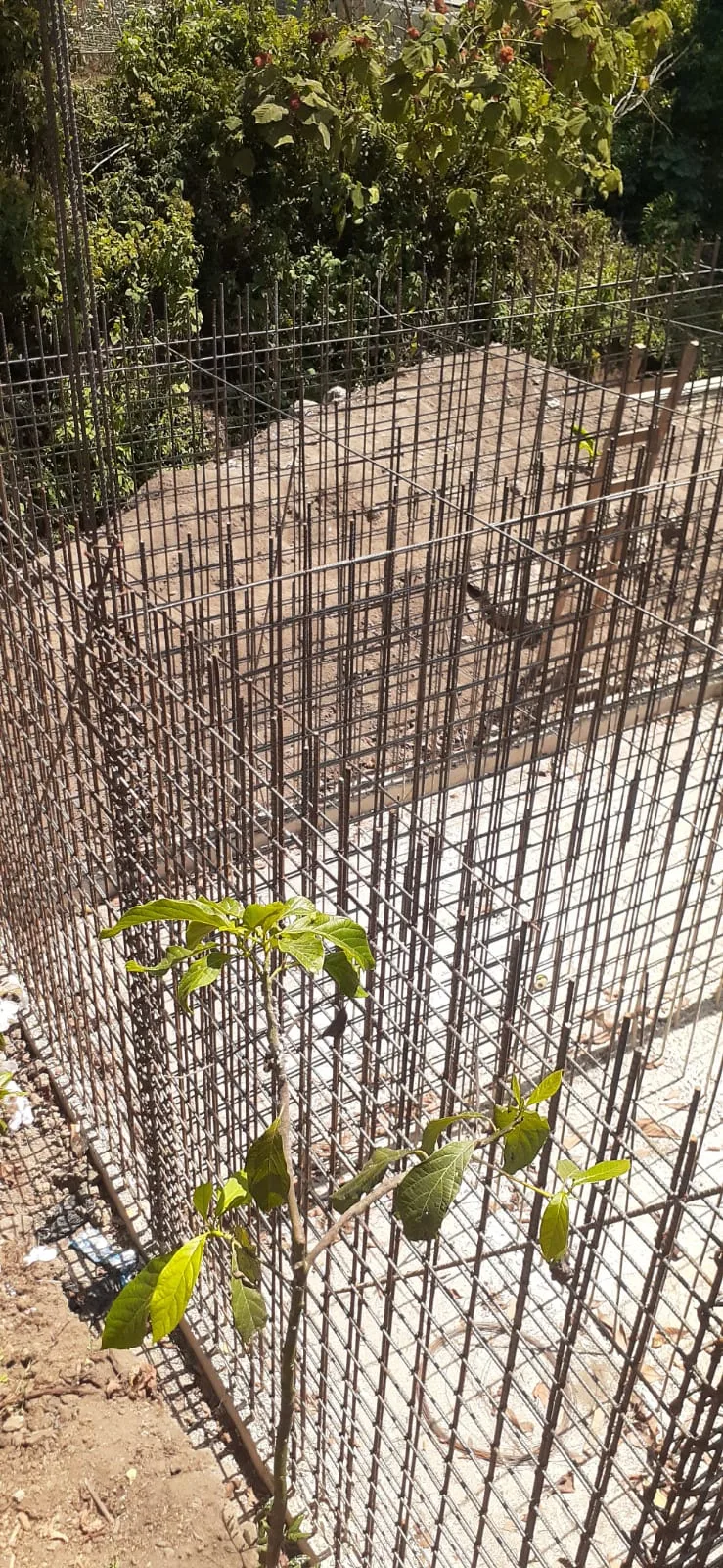 Avance de obra del 04/05/2026